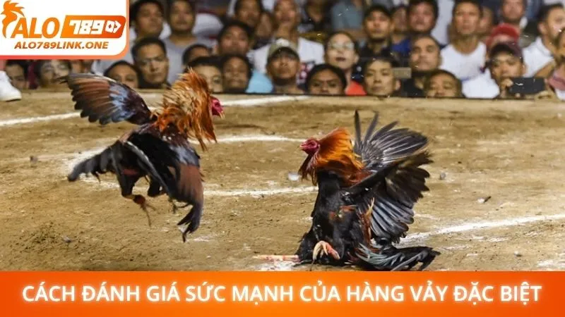 Cách đánh giá sức mạnh của hàng vảy đặc biệt