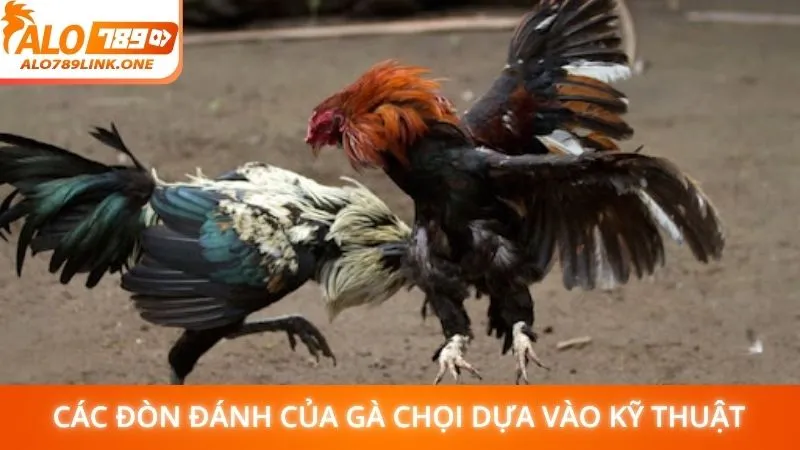 Các đòn đánh của gà chọi dựa vào kỹ thuật