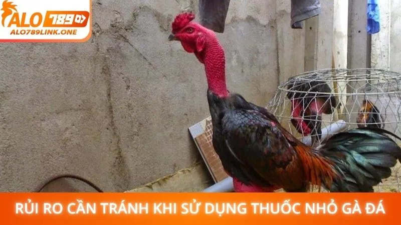 Rủi ro cần tránh khi sử dụng thuốc nhỏ gà đá