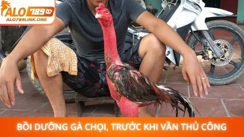Bồi dưỡng gà chọi, trước khi vần thủ công