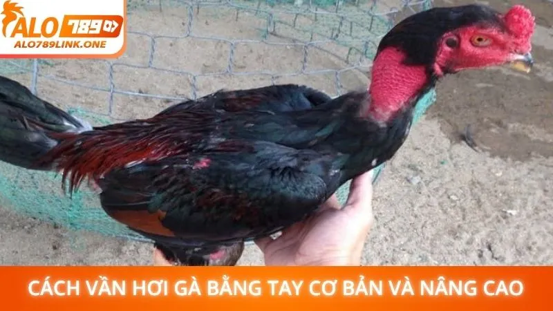 Cách vần hơi gà bằng tay cơ bản và nâng cao